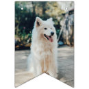 Search for photo bunting flags Pet
