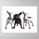 Search for cool sheep posters For kids