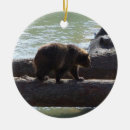 Search for grizzly bear ornaments Nature