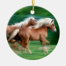 Search for palomino horse ornaments Equestrian