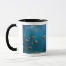 Search for sea bass mugs Outdoors