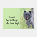 Recherche de cairn terrier maison deco Mignon