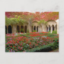 Recherche de saint remy cartes postales Provence
