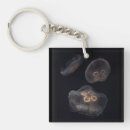 Search for saltwater keychains Aquarium