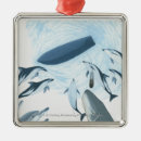 Search for dolphin ornaments Underwater