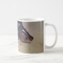 Search for pot bellied pig mugs Pigs