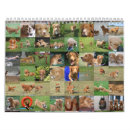 Search for nsdtr Dogs