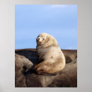 Recherche de de mer art Sauvage