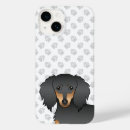 Recherche de poils coques Doxie