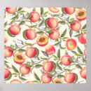Search for peach floral posters Flower