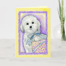 Recherche de coton tulear vœux cartes Chien