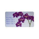 Search for orchid labels Phalaenopsis