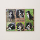 Search for dog puzzles Photo collage