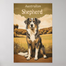 Recherche de le berger australien posters Dog
