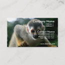 Search for monkey business cards Zoo