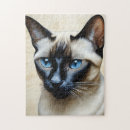 Recherche de siamese cat puzzles Portrait