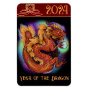 Search for new years magnets Dragon