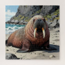 Search for walrus puzzles Ocean