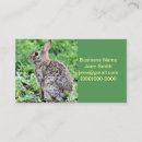 Recherche de lapins cartes visite Photographie