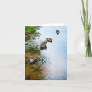 Search for wild bird cards Photograph