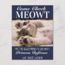 Recherche de chats bleus cartes postales Chaton