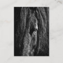 Recherche de cheval noir cartes visite Tête