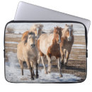 Search for palomino electronics Farm