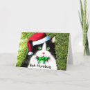 Search for humbug christmas cards Kitty