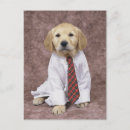 Search for relative quantity postcards Dog