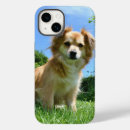 Search for puppy iphone cases Cute animals