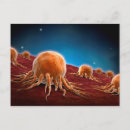 Recherche de immunologique cartes postales Maladie