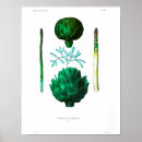 Search for artichoke art Vegetables