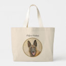 Recherche de de malinois Chien