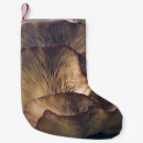 Search for mushrooms christmas stockings Plant