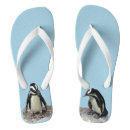 Search for penguin shoes Birds