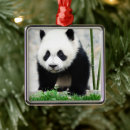 Search for panda bear ornaments Nature