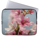 Recherche de sakura photographie Floral