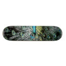 Search for scenery skateboards Photography