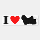 Search for bichons bumper stickers Heart
