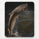 Search for rods mousepads Outdoors