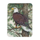 Recherche de arbre vie magnets Animaux