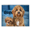 Search for pit calendars Dogs