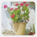 Search for geraniums stickers Watercolor