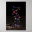 Search for dna posters Helix