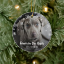 Recherche de dogs animaux mémoriaux ornements Chien