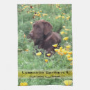 Recherche de labrador cuisine linges Laboratoire