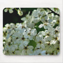 Recherche de poires tapis souris Fleur