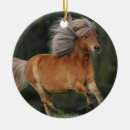 Search for miniature horse ornaments Running