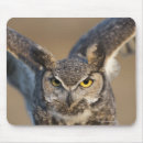 Search for looking up mousepads Photography