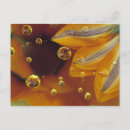 Search for surfacing postcards Close up